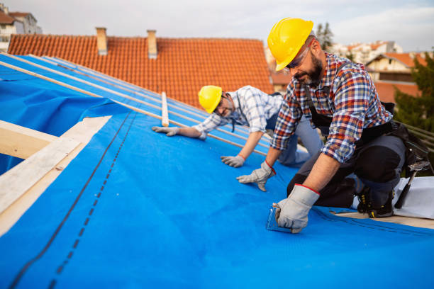 Best Roof Repair Services  in Moundsville, WV